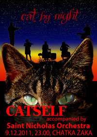 Cat By Night